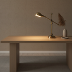Adjustable Metallic Dome Flexible Arm Mid-Century Modern Desk Lamp