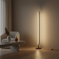 Black Oval Minimalist Living Room Bedroom LED Modern Floor Lamp
