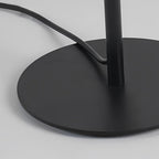 Lunaris | Sleek Modern Black Oval Floor Lamp with LED Lighting 7