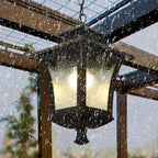 Black Retro Glass Outdoor Chandelier — Adjustable Hanging European Style