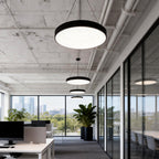 Black Round 6000K Dimmable Minimalist LED Pendant Ceiling Light