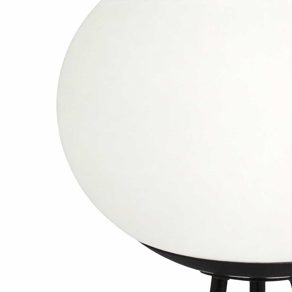 Solar Globe Shade Adjustable Colour Metal Outdoor Garden Floor Lamp