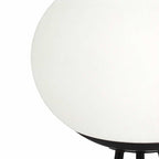 Solar Globe Shade Adjustable Colour Metal Outdoor Garden Floor Lamp