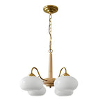 Walnut Brass 4-Light Contemporary LED Ceiling Chandelier — Elegant